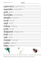 DSS_2S_Bu_ß_Nr_11.pdf